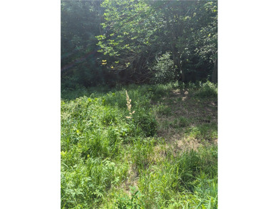 Beautiful corner lot with creek running through. Very close to - photo 5