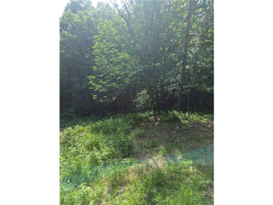 Beautiful corner lot with creek running through. Very close to - photo 6
