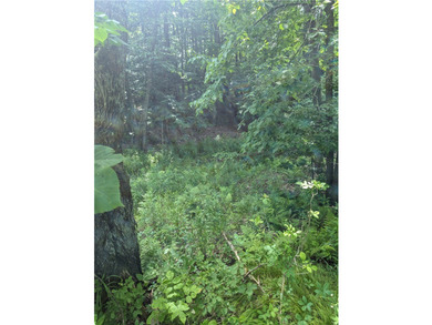 Beautiful corner lot with creek running through. Very close to - photo 7
