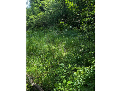 Beautiful corner lot with creek running through. Very close to - photo 8