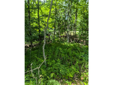 Beautiful corner lot with creek running through. Very close to - photo 9