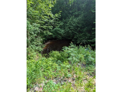 Beautiful corner lot with creek running through. Very close to - photo 10