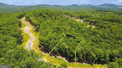 Lake Blue Ridge Lot For Sale in Morganton Georgia