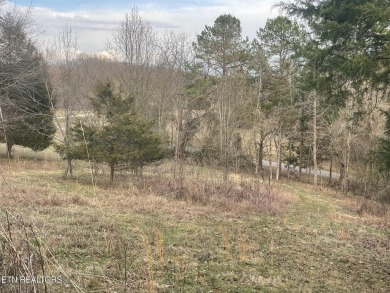 Lake Lot For Sale in Kingston, Tennessee