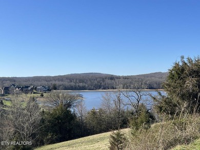 This could be your ''Norris Lake Living Happy Place'' Lot 694B - photo 3