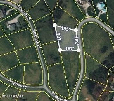 This could be your ''Norris Lake Living Happy Place'' Lot 694B - photo 8