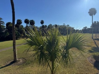 1st Floor exterior villa is privately located on #18th tee box - photo 20