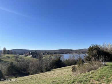 This could be your ''Norris Lake Living Happy Place'' Lot 694B - photo 10