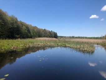 Birmingham Woods on Little River
- Lake Lot For Sale in Amboy, New York