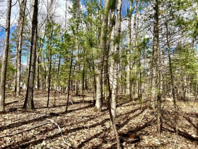 Mullett Lake Lot For Sale in Topinabee Michigan