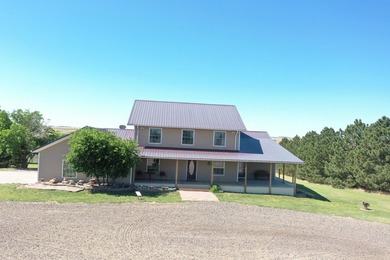 Beautiful custom-built home just 15 minutes south of McCook - photo 3