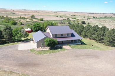 Beautiful custom-built home just 15 minutes south of McCook - photo 4