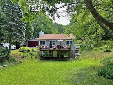 Beautiful Pretty Lake in Mecosta County is the setting for this - photo 22