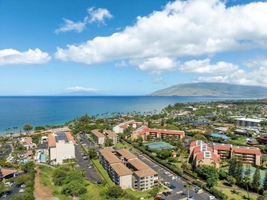 Welcome to your stunning Maui home! This fully renovated - photo 25