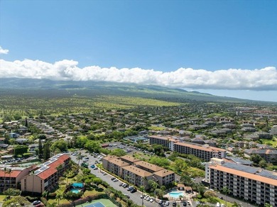 Welcome to your stunning Maui home! This fully renovated - photo 26