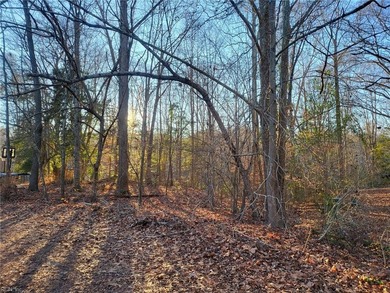 Outstanding buy on this 1.71 +/- acre single family building lot - photo 3