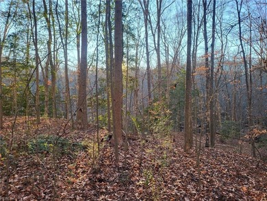 Outstanding buy on this 1.71 +/- acre single family building lot - photo 4