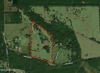 (private lake, pond, creek) Acreage For Sale in Terry Mississippi