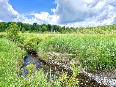 Nestled on a breathtaking 5.19 +/- acre parcel, this unique - photo 23