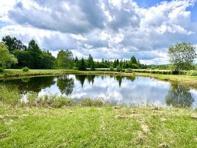 Nestled on a breathtaking 5.19 +/- acre parcel, this unique - photo 24