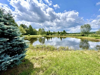 Nestled on a breathtaking 5.19 +/- acre parcel, this unique - photo 25