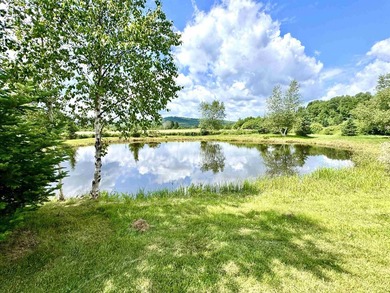 Nestled on a breathtaking 5.19 +/- acre parcel, this unique - photo 26