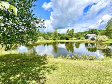 Nestled on a breathtaking 5.19 +/- acre parcel, this unique - photo 28