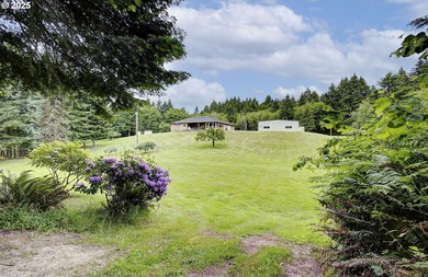 Pristine one level Executive Home with an out of this world Shop - photo 43