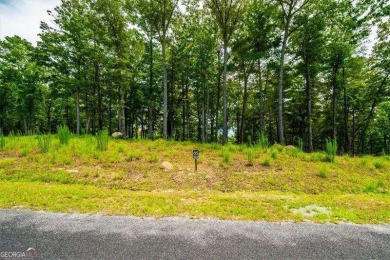 Lake Blue Ridge Lot For Sale in Morganton Georgia