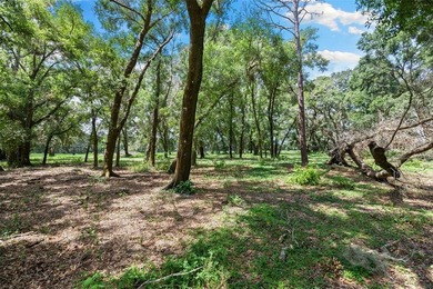 Discover a once-in-a-lifetime opportunity to own 50 ACRES in - photo 29