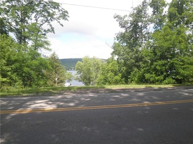 Unusual Find! An East Lake lot overlooking scenic Honeoye lake - photo 2