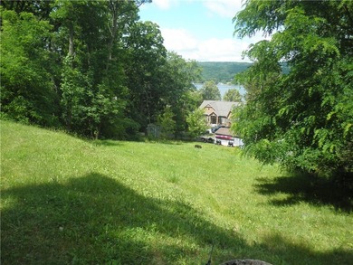 Unusual Find! An East Lake lot overlooking scenic Honeoye lake - photo 3
