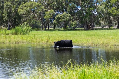 Discover a once-in-a-lifetime opportunity to own 50 ACRES in - photo 35