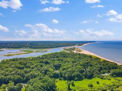 8.42 Acres with LI Sound water frontage and beautiful views - photo 5