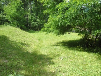Unusual Find! An East Lake lot overlooking scenic Honeoye lake - photo 6