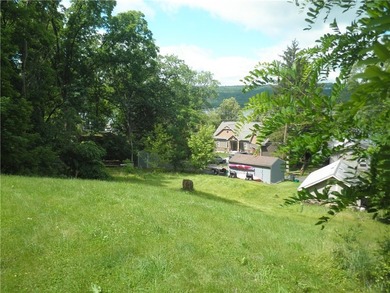 Unusual Find! An East Lake lot overlooking scenic Honeoye lake - photo 7