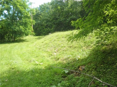 Unusual Find! An East Lake lot overlooking scenic Honeoye lake - photo 8