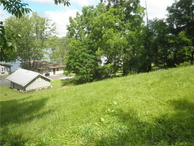 Unusual Find! An East Lake lot overlooking scenic Honeoye lake - photo 9