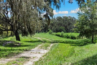 Discover a once-in-a-lifetime opportunity to own 50 ACRES in - photo 42