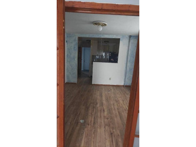 MOVE IN CONDITION THAT NEEDS SOME TLC - photo 4