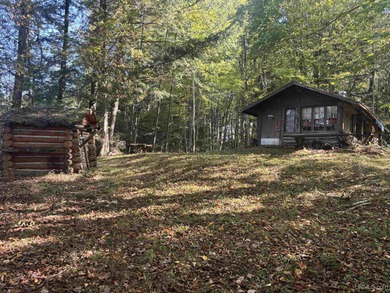 Lake Acreage For Sale in Iron Belt V-WI, Wisconsin