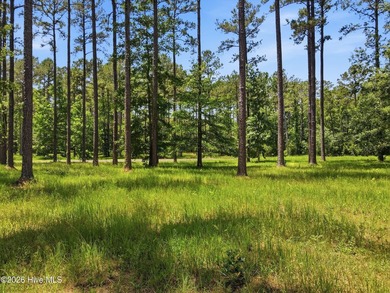 Unlock the door to coastal tranquility and envision your - photo 12