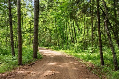 Iconic estate tract located on the north side of Upper Whitefish - photo 8