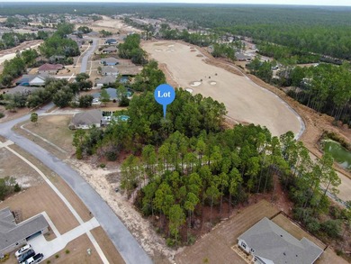 Discover an exceptional opportunity to create your forever home - photo 6