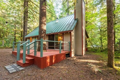 Charming Off-Grid Retreat at Swift Reservoir Northwoods - photo 2