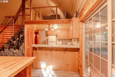 Charming Off-Grid Retreat at Swift Reservoir Northwoods - photo 3