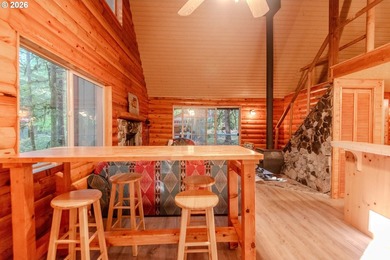 Charming Off-Grid Retreat at Swift Reservoir Northwoods - photo 5