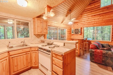 Charming Off-Grid Retreat at Swift Reservoir Northwoods - photo 6