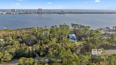 Rare opportunity to own 70 feet of waterfront on Little Lagoon - photo 3