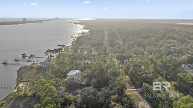Rare opportunity to own 70 feet of waterfront on Little Lagoon - photo 4